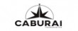 Caburaí Transportes