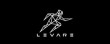 Levare