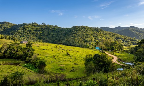 Cidade de Pelotas