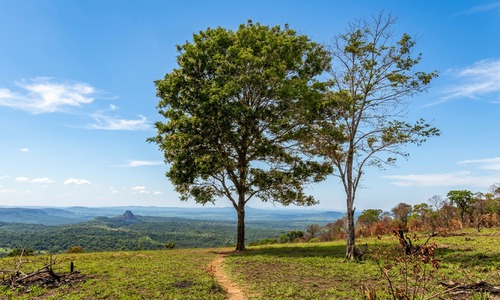 Cidade de Axixá Do Tocantins