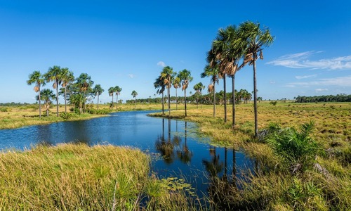 Cidade de Rorainópolis
