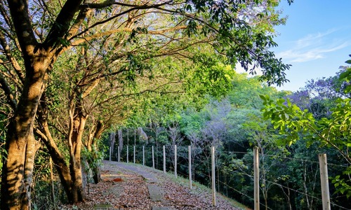 Cidade de Marília