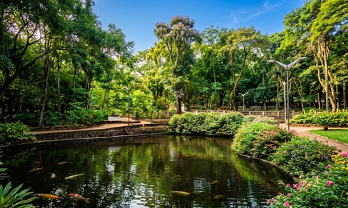 Cidade de Orlândia