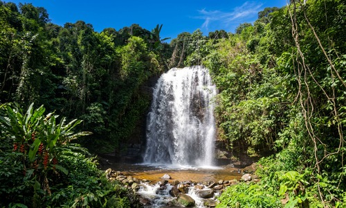 Cidade de Pimenta Bueno