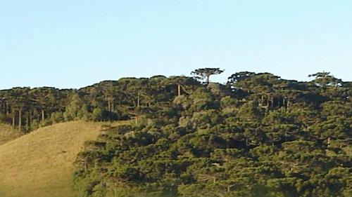 Rodoviria de Caxias do Sul